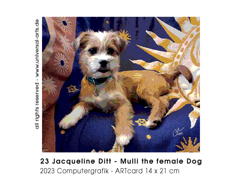 Jacqueline Ditt -  Mulli the female Dog  (Mulli die H&uuml;ndin)